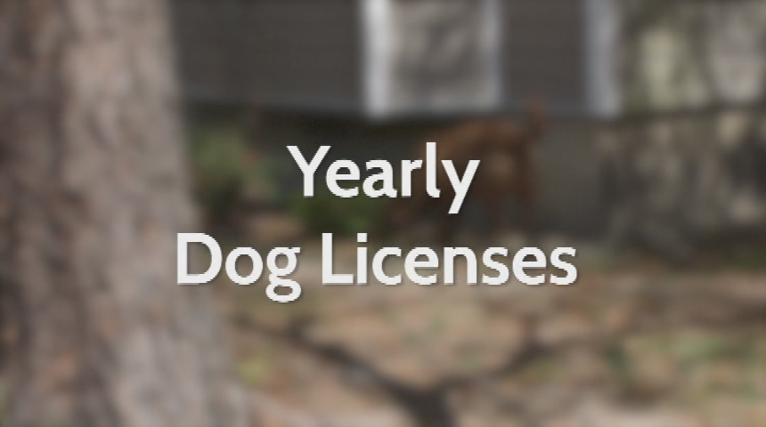 Thumbnail image for Animal Control in the Town of Kill Devil Hills