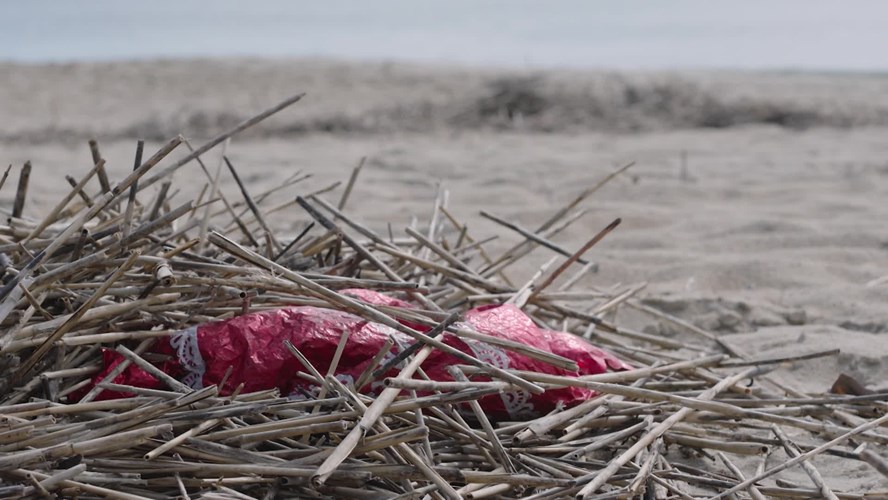 Southern Shores – Balloon Release Ban