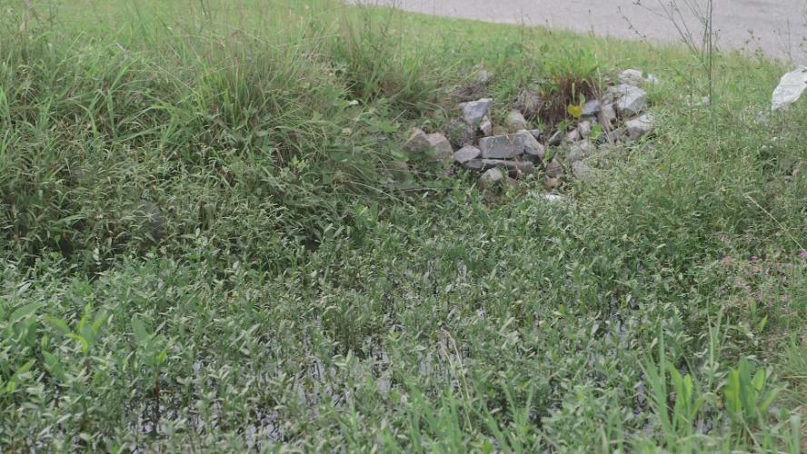 Stormwater Mitigation in the Town of Nags Head