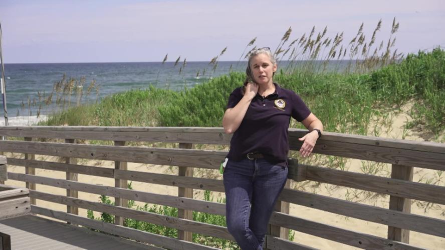 Journey of the Sea Turtle – Nurturing Nature in Nags Head