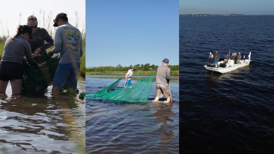 The ECU Outer Banks Campus – Research, Innovation and Discovery