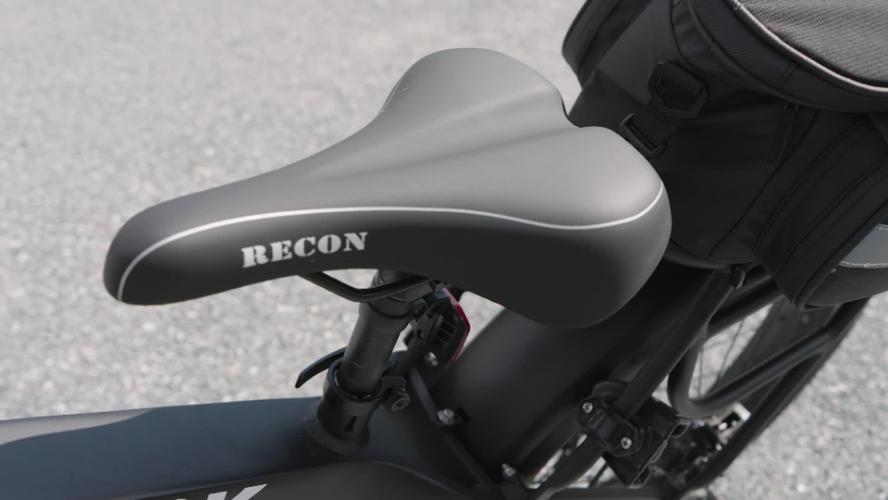 E-Bikes in the Town of Duck