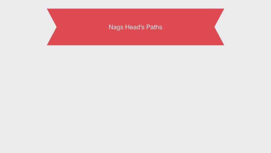 Multi-Use Path Etiquette in Nags Head